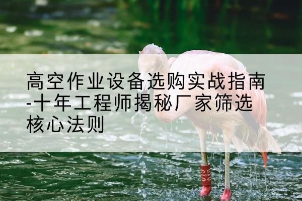 永宁剪叉式升降机厂家-高空作业设备选购实战指南-十年工程师揭秘厂家筛选核心法则