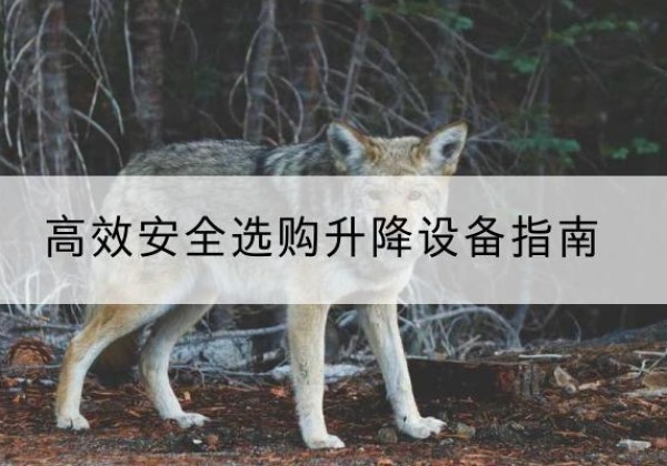永宁升降货梯厂家推荐-*安全选购升降设备指南
