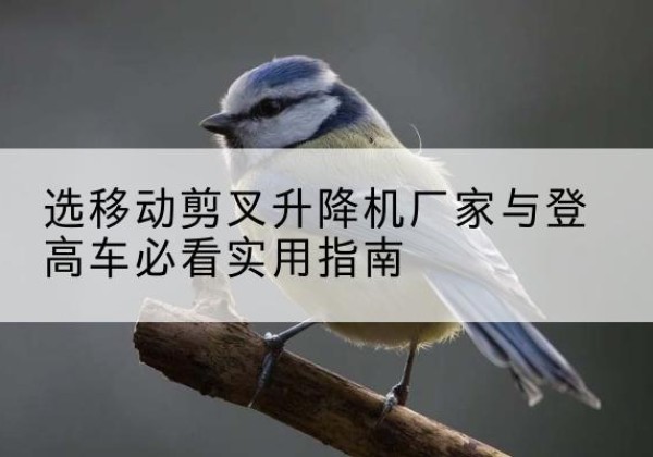 永宁电动升降机厂家-选移动剪叉升降机厂家与登高车必看实用指南