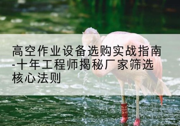 永宁剪叉式升降机厂家-高空作业设备选购实战指南-十年工程师揭秘厂家筛选核心法则
